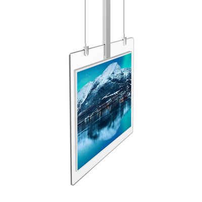 Super Slim Stojący Digital Signage OLED Dwustronny wyświetlacz Przezroczysty 43 cale
